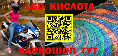прущие грибы Рыбинск
