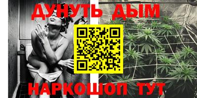 прущие грибы Рыбинск